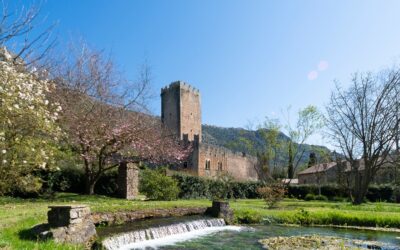 Il risveglio di Ninfa. Riapertura delle visite