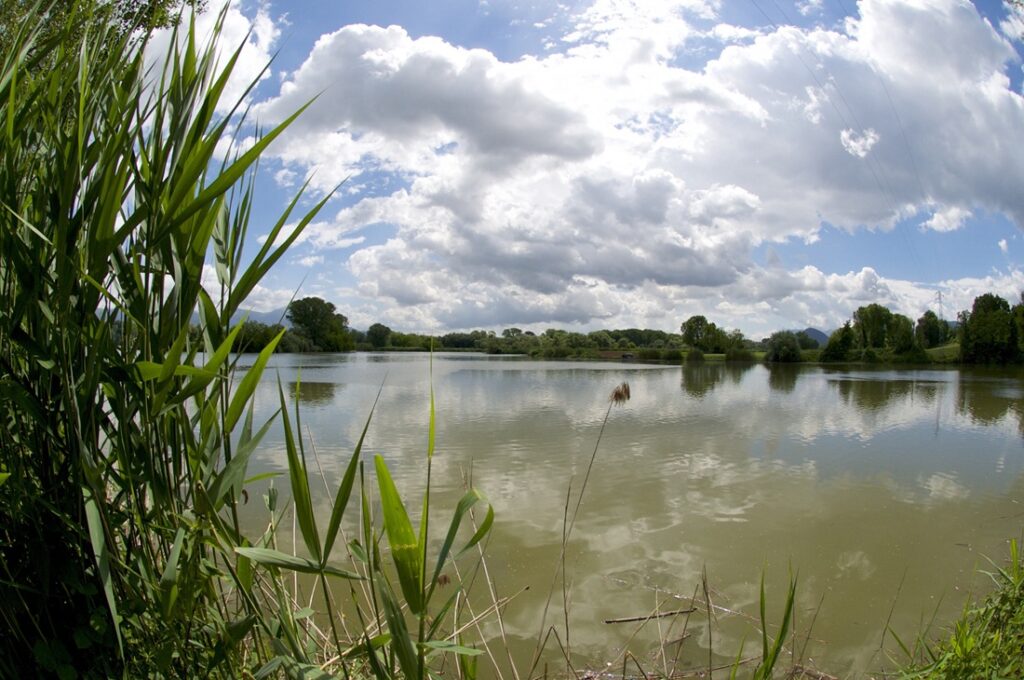 Riserva Naturale Antiche Città di Fregellae e Fabrateria Nova e del Lago di San Giovanni Incarico - www.parchilazio.it
