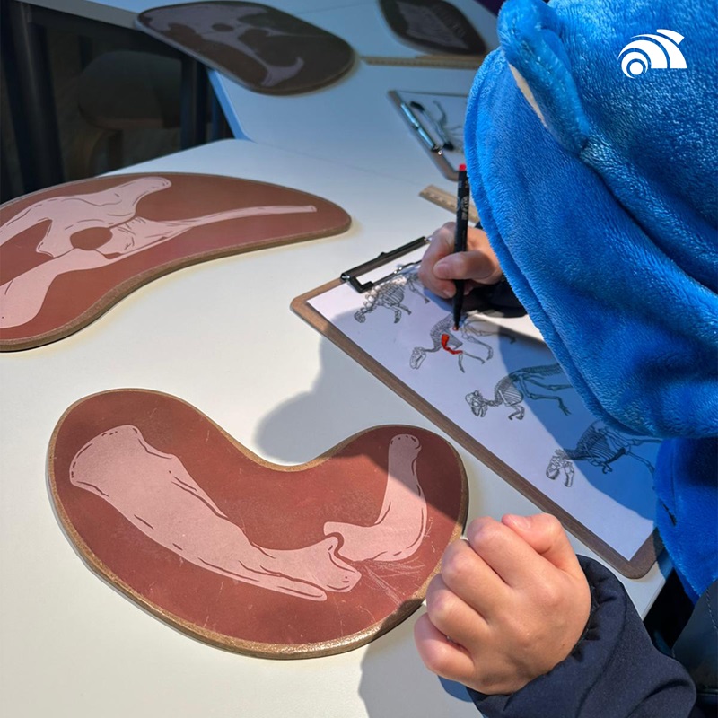 Smurc - laboratorio 2026 a Rocca di Cave