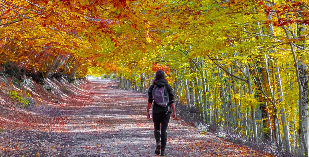 Parco Castelli Romani lancia Storie in Cammino