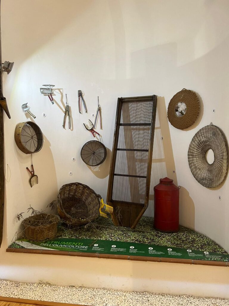 Museo del Paesaggio Agrario dell'Olio - Facebook @ComuneMoricone