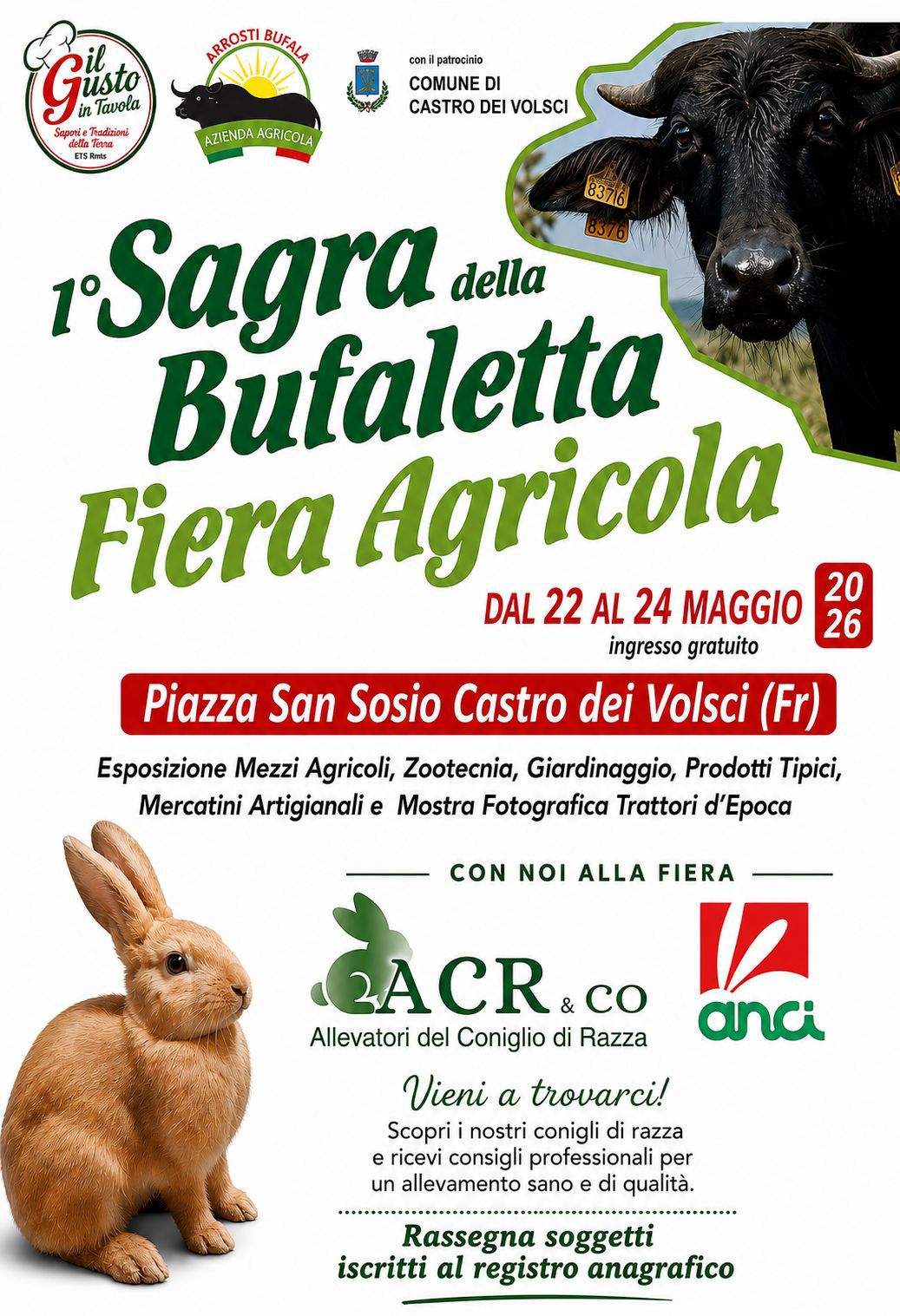 Locandina della sagra della bufaletta di Castro dei Volsci