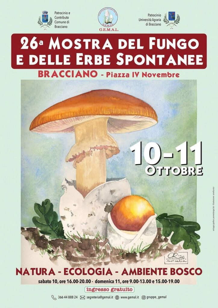 Festa del Turismo Lento 2026 a Bracciano