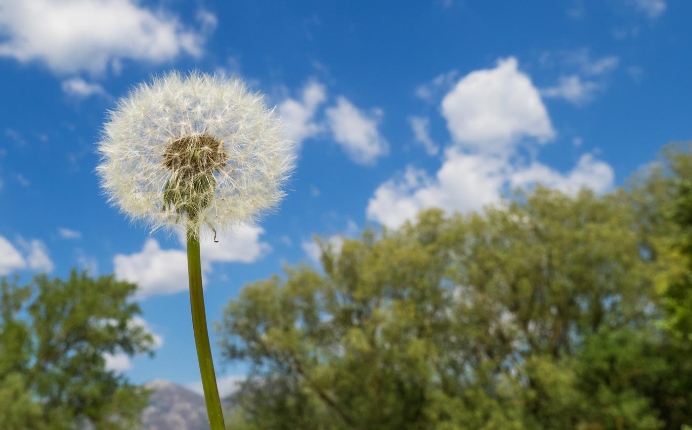 Nel Lazio tra i set de “Il Nome della Rosa” – Idee di Viaggio –VisitLazio